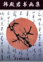 韩殿君书画集 封面