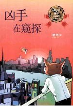 凶手在窥探  五年级适读 封面