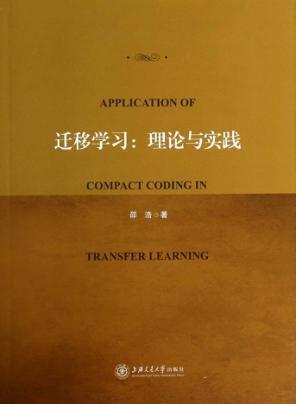 迁移学习  理论与实践 封面