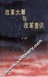 改革大潮与改革意识 封面