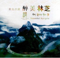 神奇西藏醉美林芝 封面