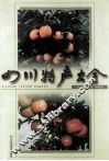 四川特产大全 封面