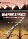 高含硫气藏安全高效开发实践  中坝雷三高含硫凝析气藏开发纪实 封面