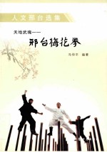 天地武魂：邢台梅花拳 封面