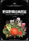 野菜野果经典图鉴 封面