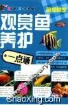 观赏鱼养护一点通 封面