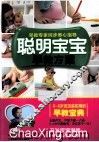 聪明宝宝早教方案 电子书封面