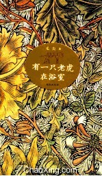 有一只老虎在浴室 封面