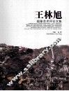 王林旭超象艺术评论文集 封面