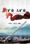 新矿业  大矿业 封面