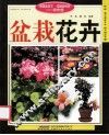 盆栽花卉 封面