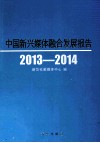 中国新兴媒体整合发展报告  2013-2014 封面