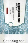 慈善公益组织运行模式研究 封面