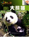 野生大熊猫 封面