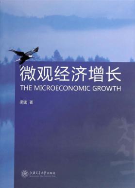 微观经济增长 封面