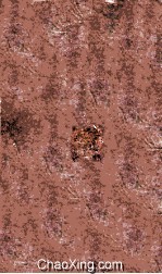 重修彭县志  卷首-1  文庙藏版 封面