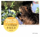 我的野生动物邻居  一只河狸的幸福生活 封面