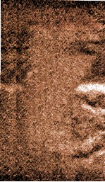 增补万病回春  耻集  明万历四十三年刻本 封面