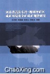 河南省嵩县东湾槐树坪矿区成矿环境及金矿成矿规律研究 封面