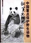 中国重点保护野生动物钢笔画图鉴 封面