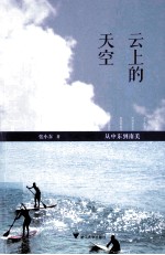 云上的天空  从中东到南美 封面