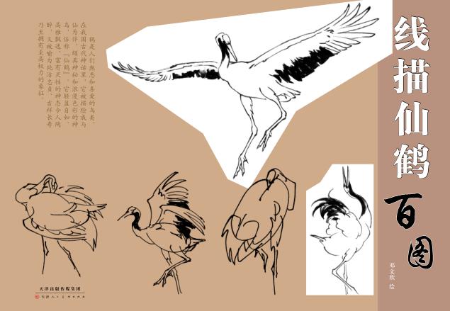 线描仙鹤百图 封面