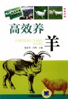 高效养羊 封面