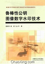 鲁棒性公钥图像数字水印技术 封面