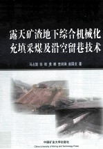露天矿渣地下综合机械化充填采煤及沿空留巷技术 封面