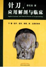 针刀应用解剖与临床下 腕手、腰背、臀髋、膝、足踝部疾病 封面