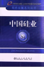 中国硅业 封面