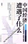 中国经济遭遇了什么  一个资深财经媒体人的独立观察 封面