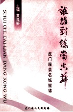 谁持彩练当空舞  虎门服装名城掇锦 封面