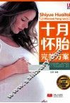 十月怀胎完美方案 封面