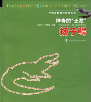 神奇的“土龙”  扬子鳄 封面