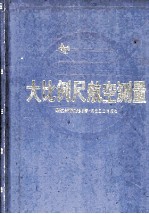 大比例尺航空测量 封面