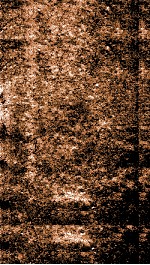 增订纲监正史约  卷21 封面