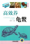 高效养龟鳖  高效养殖致富直通车 封面