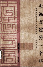 去远方过另一个年  青海黄南春节毛兰木及甘南行摄记 封面