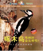 啄木鸟啄树时会头疼吗？  令人吃惊的动物奥秘 封面