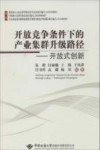 开放竞争条件下的产业集群升级路径  开放式创新 封面