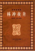 古筝独奏曲林冲夜奔 封面