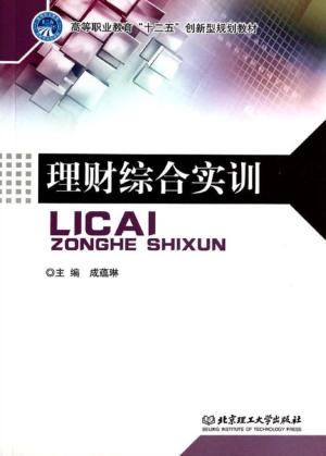 理财综合实训 封面