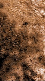 四音释义  辰集至巳集 封面