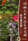 园林花木景观应用图册  棕竹藤分册 封面