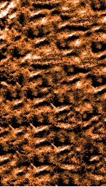 南菁书院丛书  三集第一种至第二种 封面