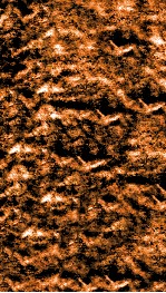 南菁书院丛书  三集第三种至第四种 封面