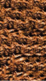 南菁书院丛书  三集第五种  畴人传三编  卷5-7 封面