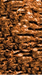 南菁书院丛书  四集第一种 封面