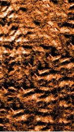 南菁书院丛书  六集第一种至第五种 封面